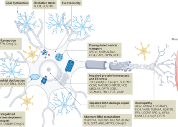 Why should you care about brown vs santos today? Discover the lasting impact and relevance now.