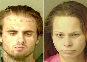 Need the latest information on Mike Bell judge? Find current news and updates about his work.