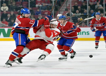 Who is Anna Frey Brock Purdy? All about her family now!